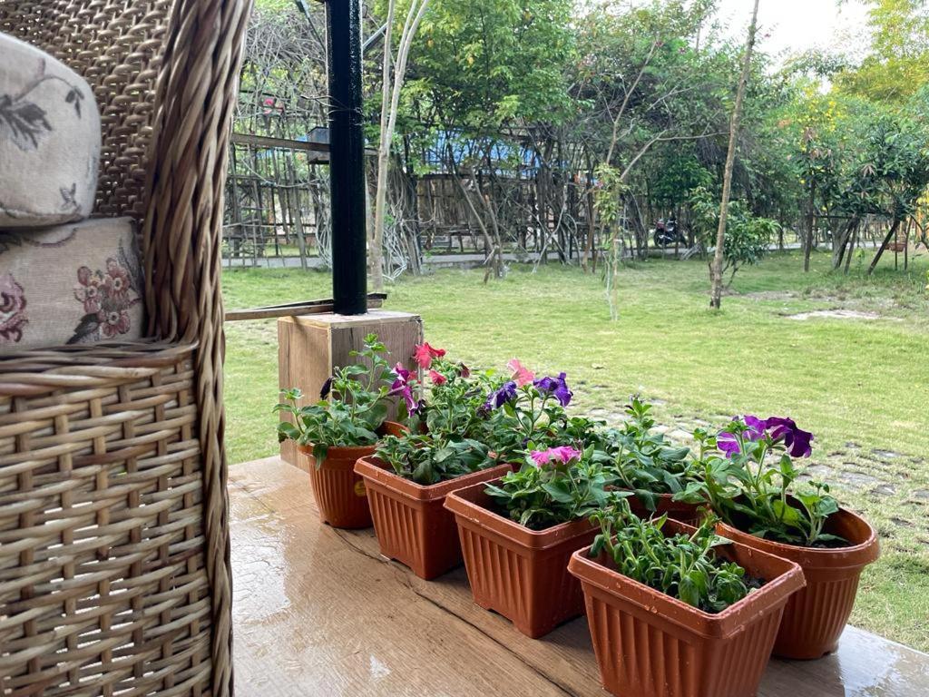 Bougainvillea Retreat & Spa Kaharpara Luaran gambar