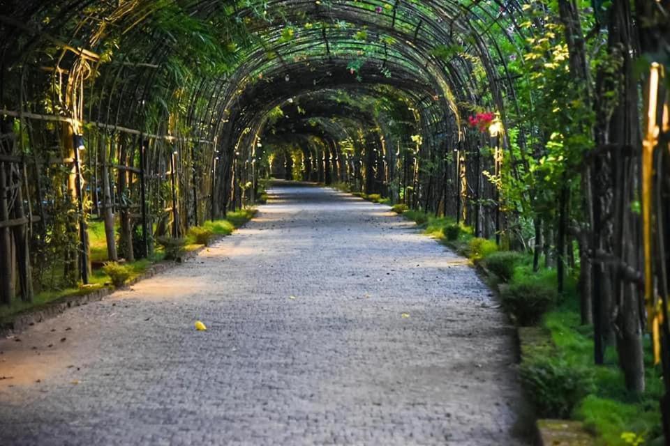 Bougainvillea Retreat & Spa Kaharpara Luaran gambar